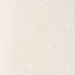 CRAVATTA CERIMONIA IN RASO DI SETA GRIGIO CHIARO Pois